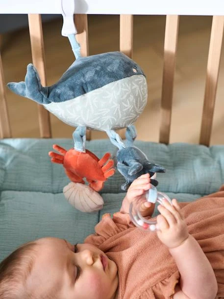 Jouet D'éveil Avec Pince SOUS L'OCÉAN Gris - Vertbaudet 4 Jouet D'éveil Avec Pince SOUS L'OCÉAN Gris - Vertbaudet – Image 2