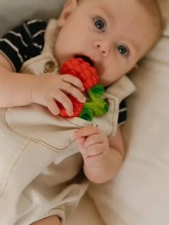 Valery La Framboise - OLI & CAROL Rouge - Oli Et Carol 8 Valery La Framboise - OLI & CAROL Rouge - Oli Et Carol -Vertbaudet valery la framboise oli carol 2